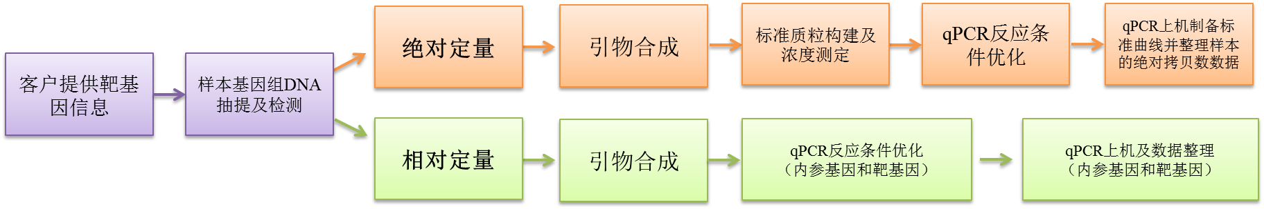 qPCR实验流程图 qPCR实验流程图