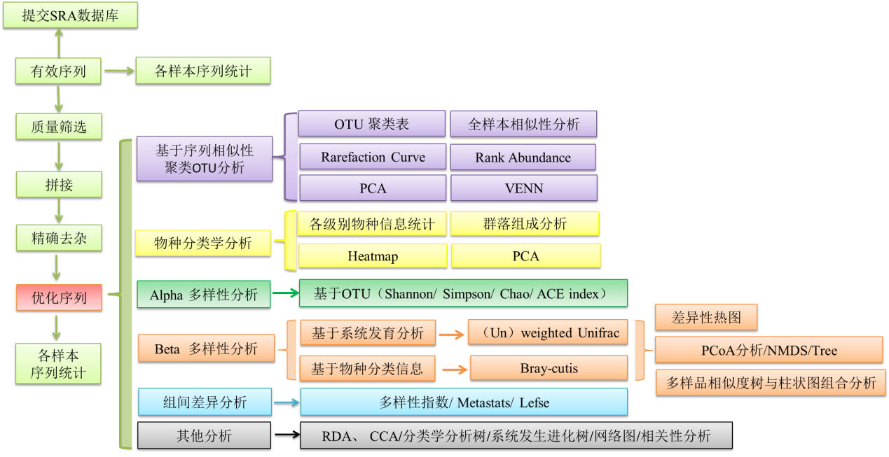 实验流程，多元分析，流程，结果