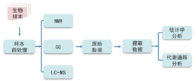方法流程，代谢组，检测方法，流程