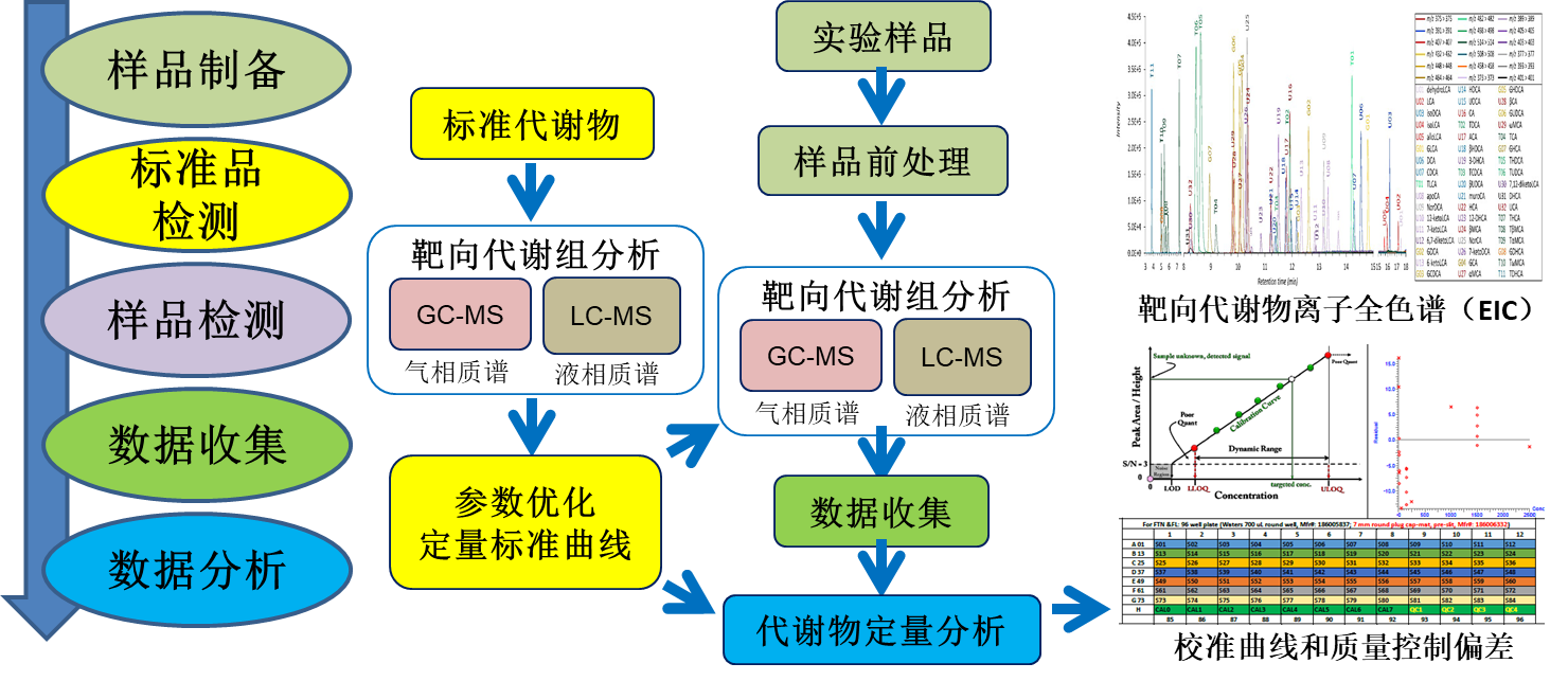 jclc 实验流程