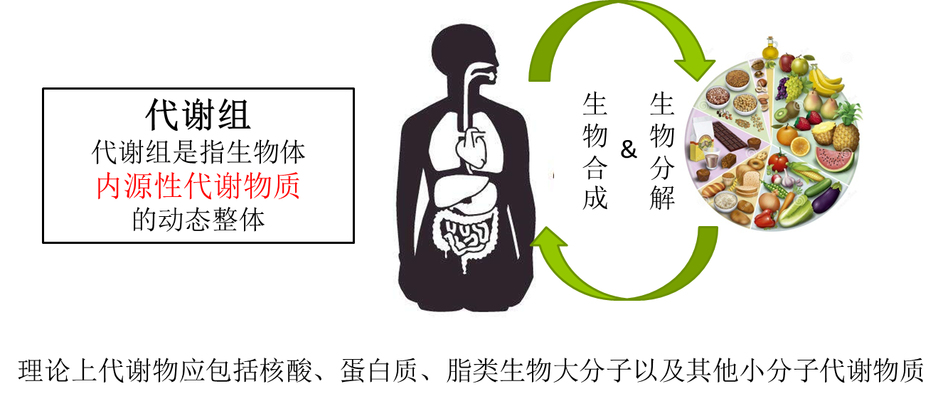 metabolomics 代谢组学
