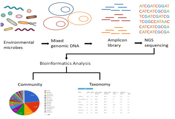 hjyzlc